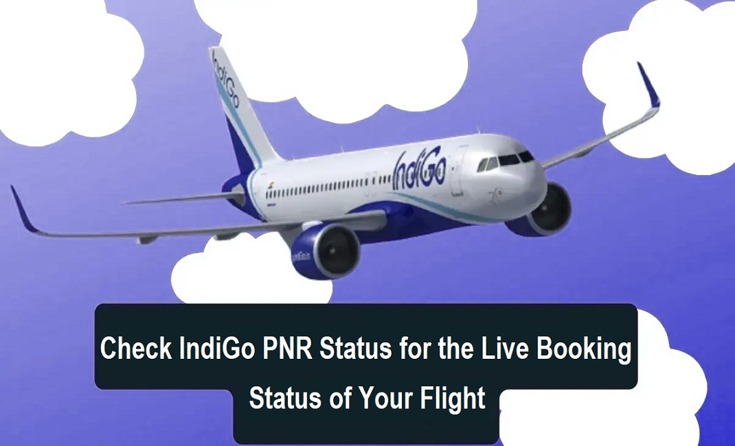 IndiGo PNR status