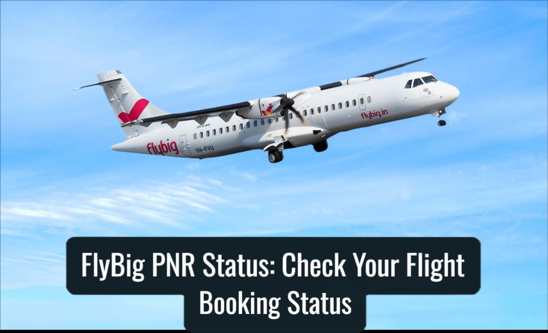 FlyBig PNR Status