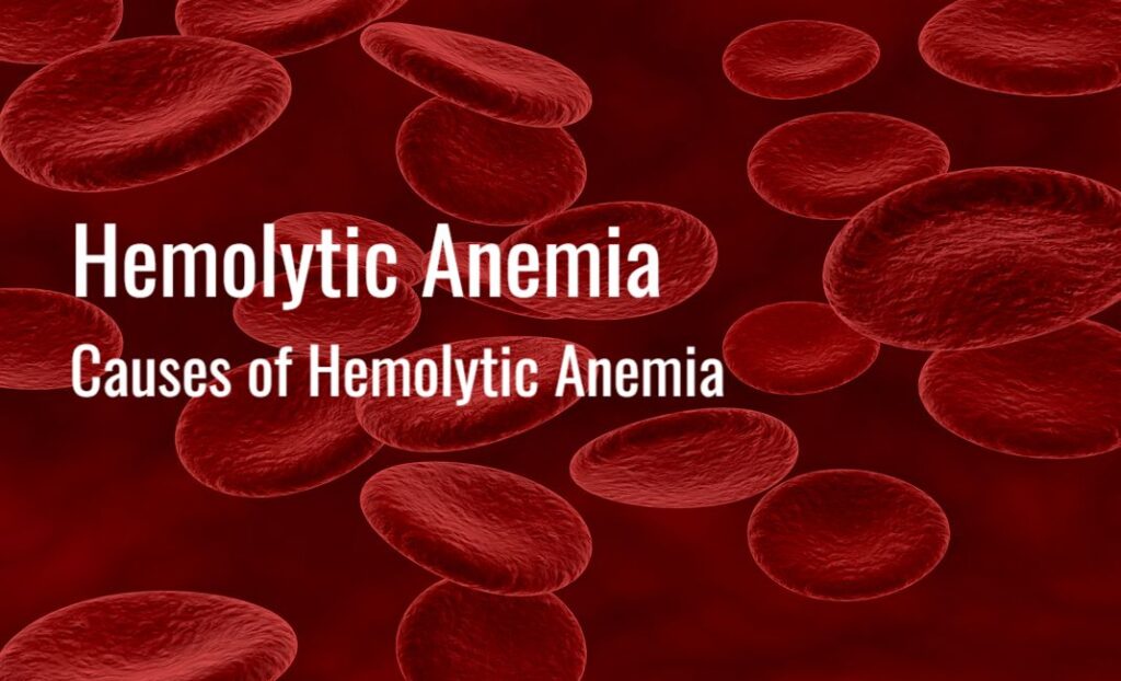 Hemolytic Anemia Causes